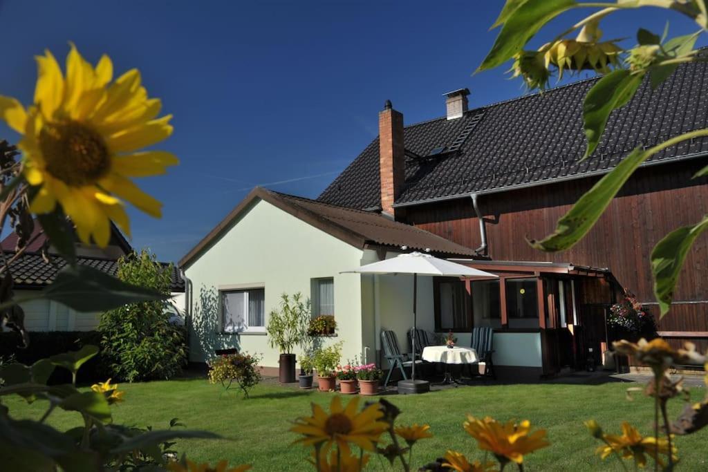 Ferienwohnung Nachtigall Burg  Exterior photo